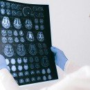 L’intelligence artificielle au laboratoire